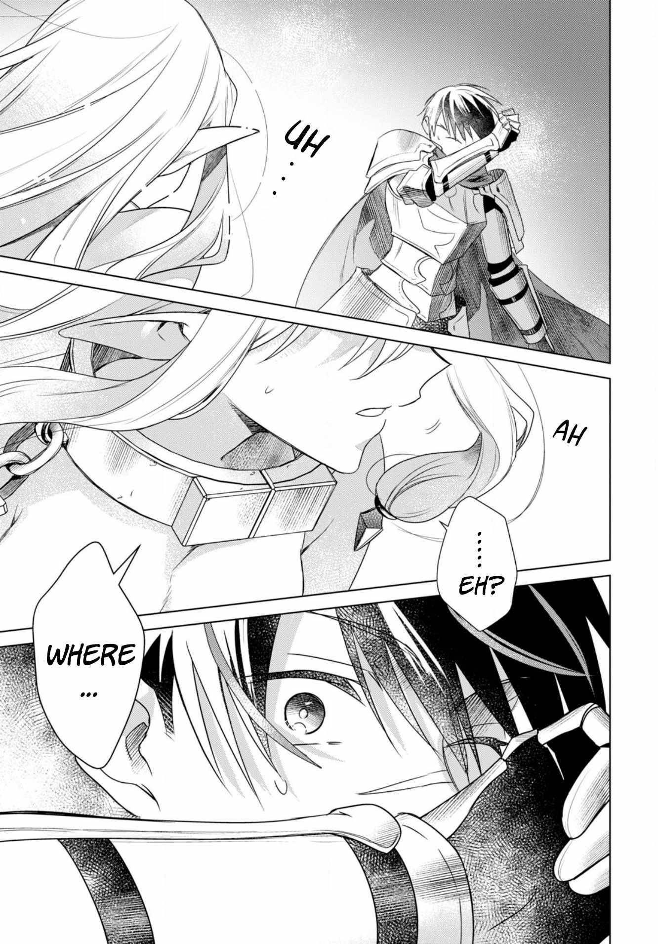 An S-class Adventurer, Banished as the Tank of the Party, Uses His "Slave Release" Skill to Build the Strongest Country in History! Chapter 1 - Page 45 in English