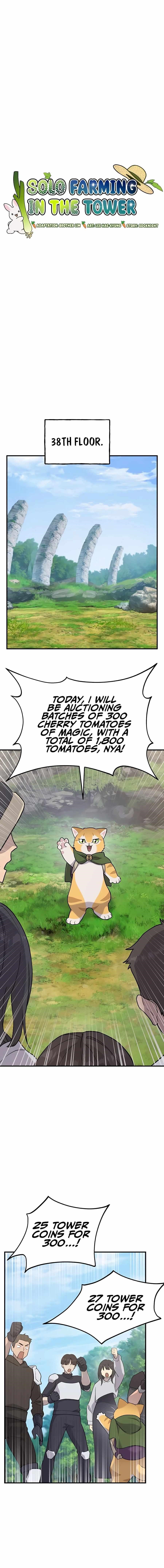 Solo Farming In The Tower Chapter 26 - Page 6 in English