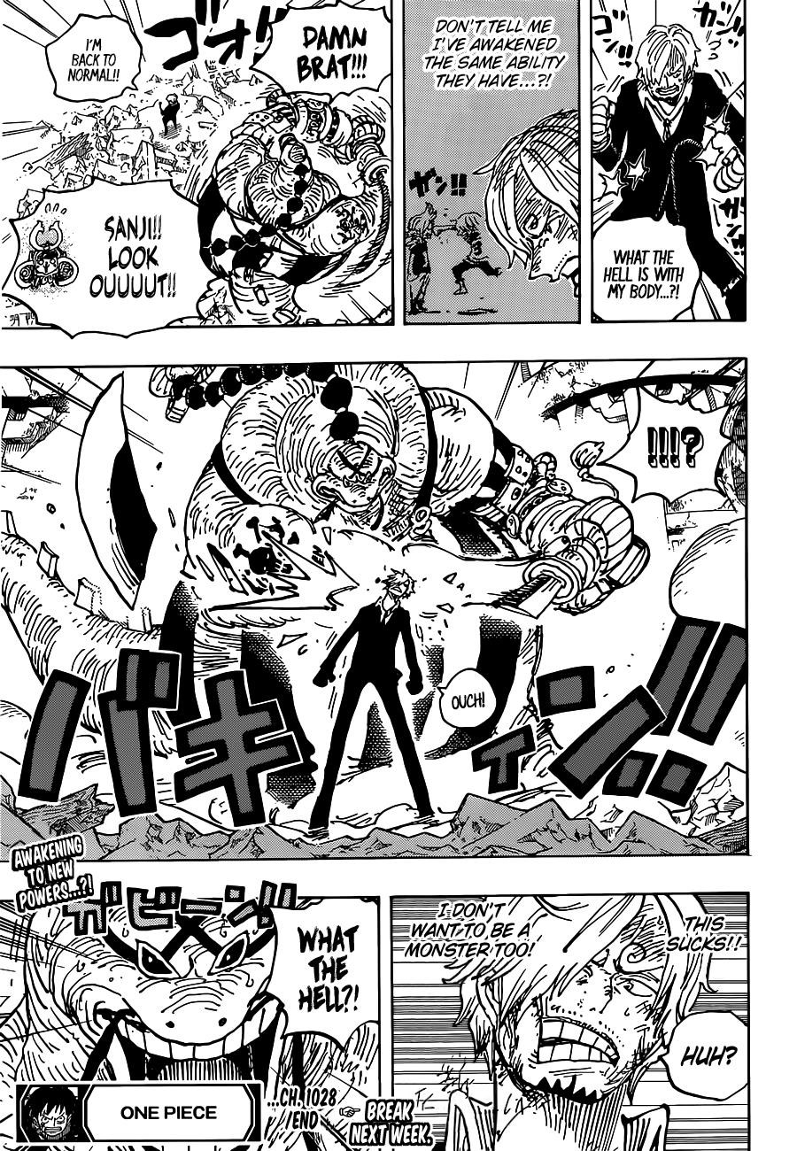 One Piece Chapter 1028 - Page 17 in English