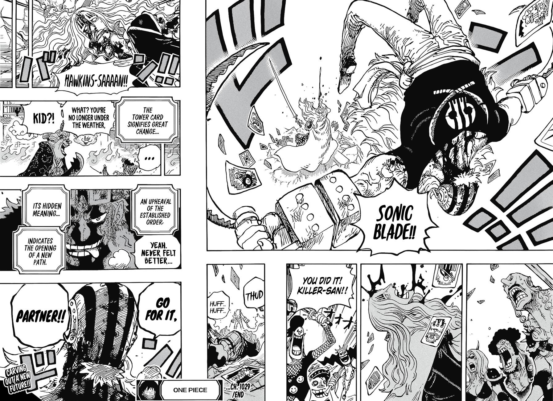 One Piece Chapter 1029 - Page 14 in English