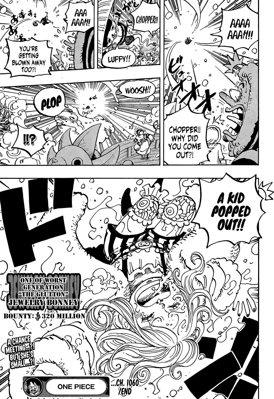 One Piece Chapter 1060 - Page 17 in English