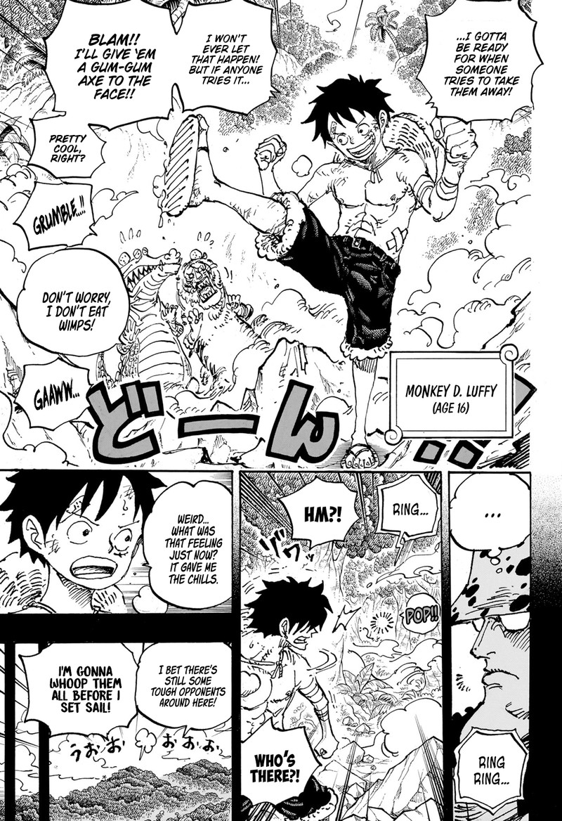 One Piece Chapter 1101 - Page 5 in English