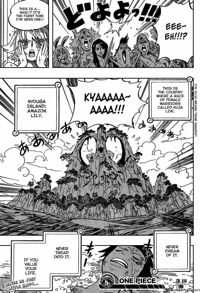 One Piece Chapter 514 - Page 18 in English