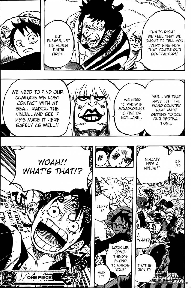 One Piece Chapter 803 - Page 13 in English