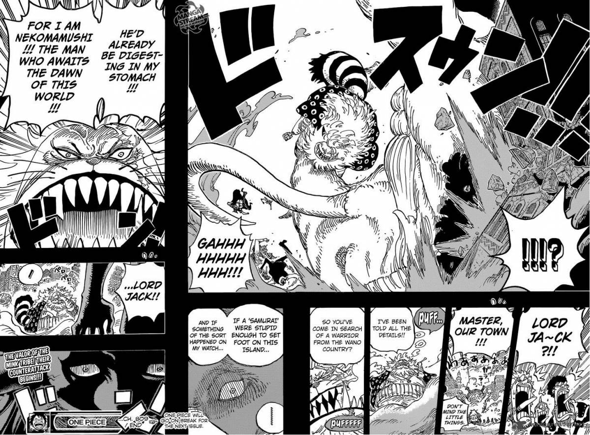 One Piece Chapter 809 - Page 18 in English