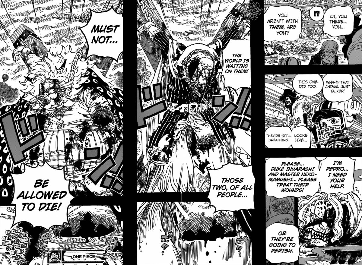 One Piece Chapter 810 - Page 18 in English