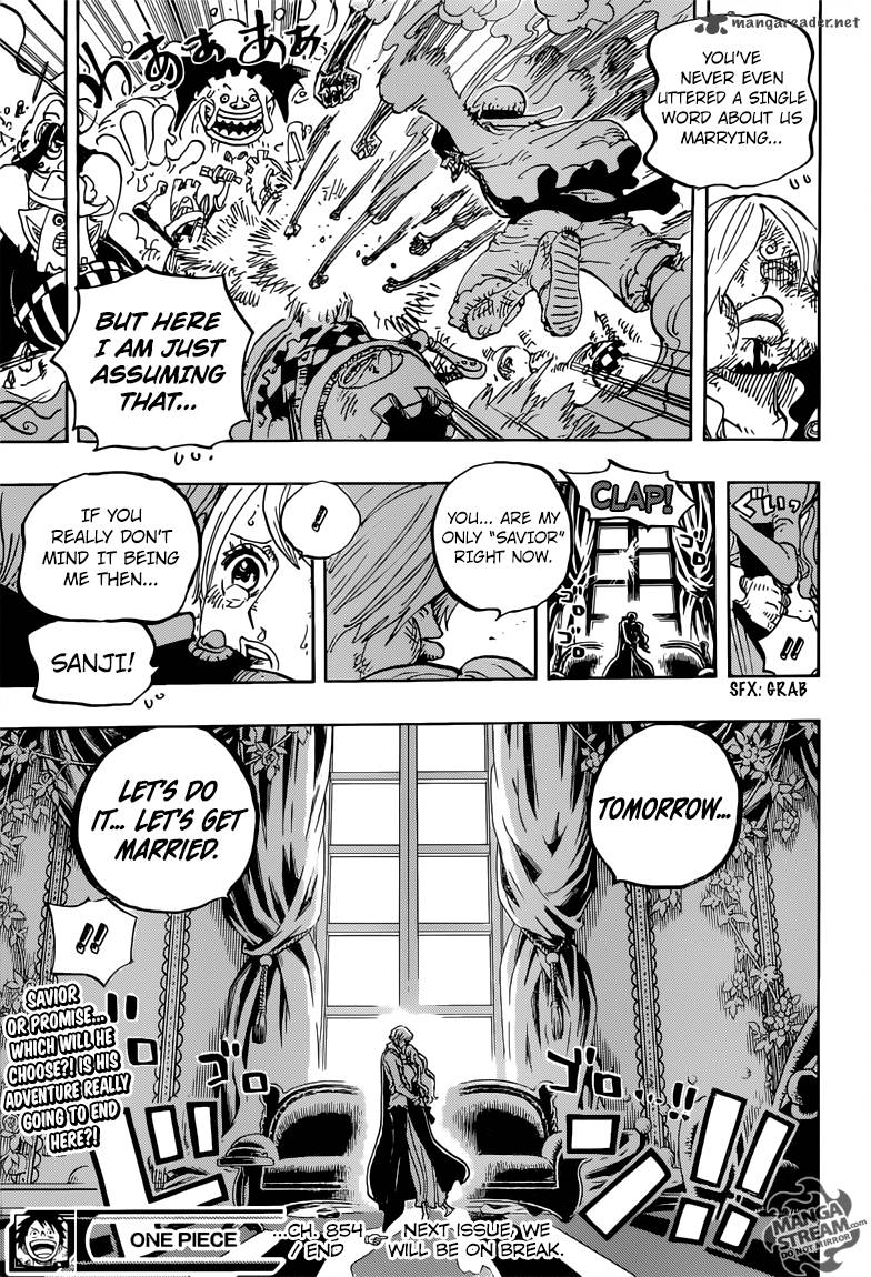 One Piece Chapter 845 - Page 17 in English