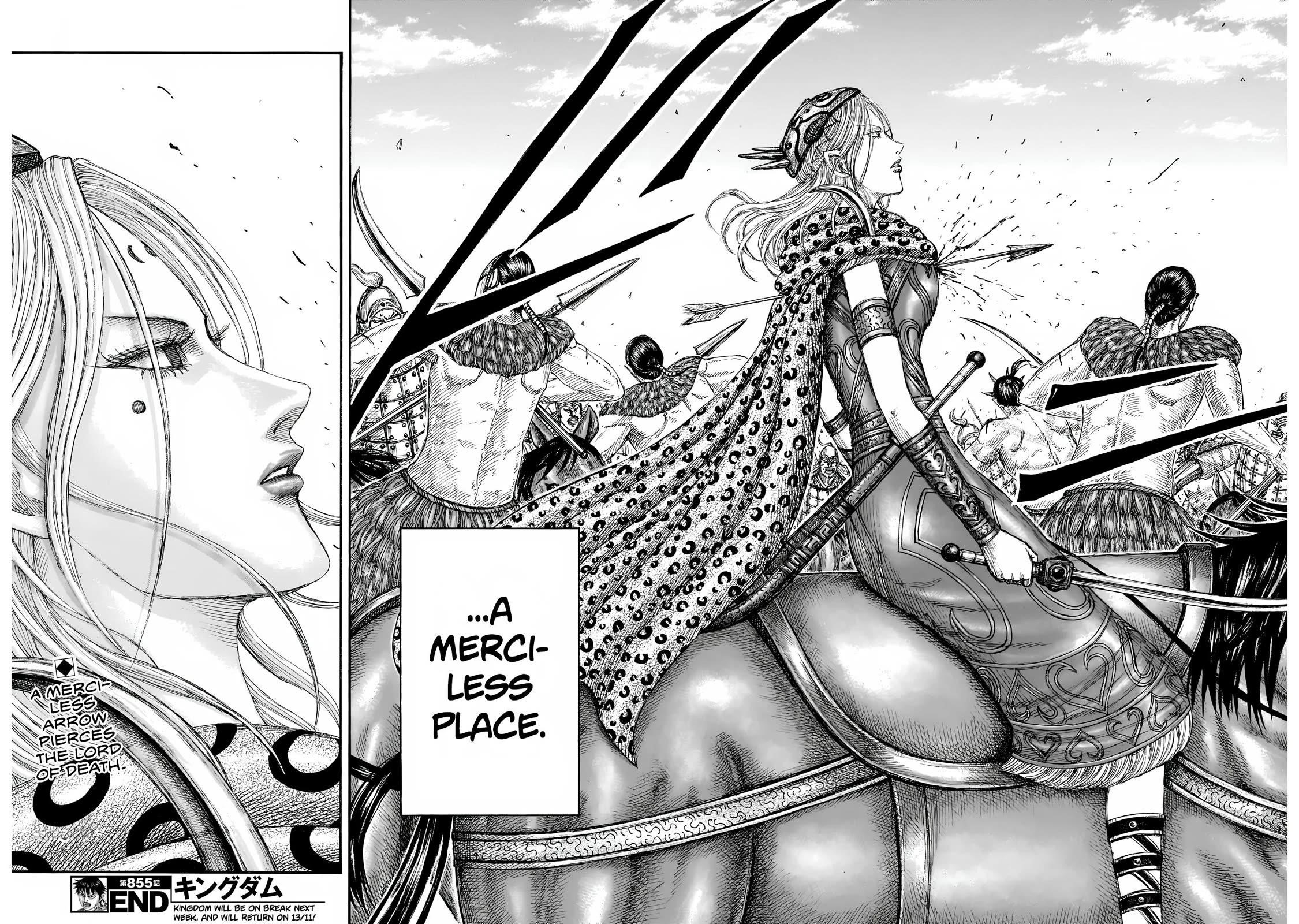 Kingdom Chapter 855 - Page 19 in English