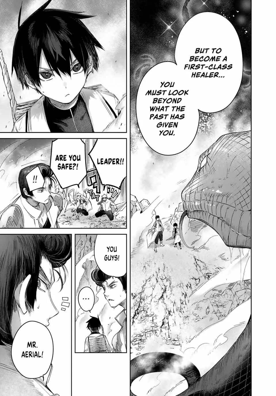 The Healer Ditches the Boonies to Become an S-Rank Adventurer: The Boy from the Hero’s Village Doesn’t Know His Cheat Medicine Is Unrivaled Chapter 14 - Page 17 in English