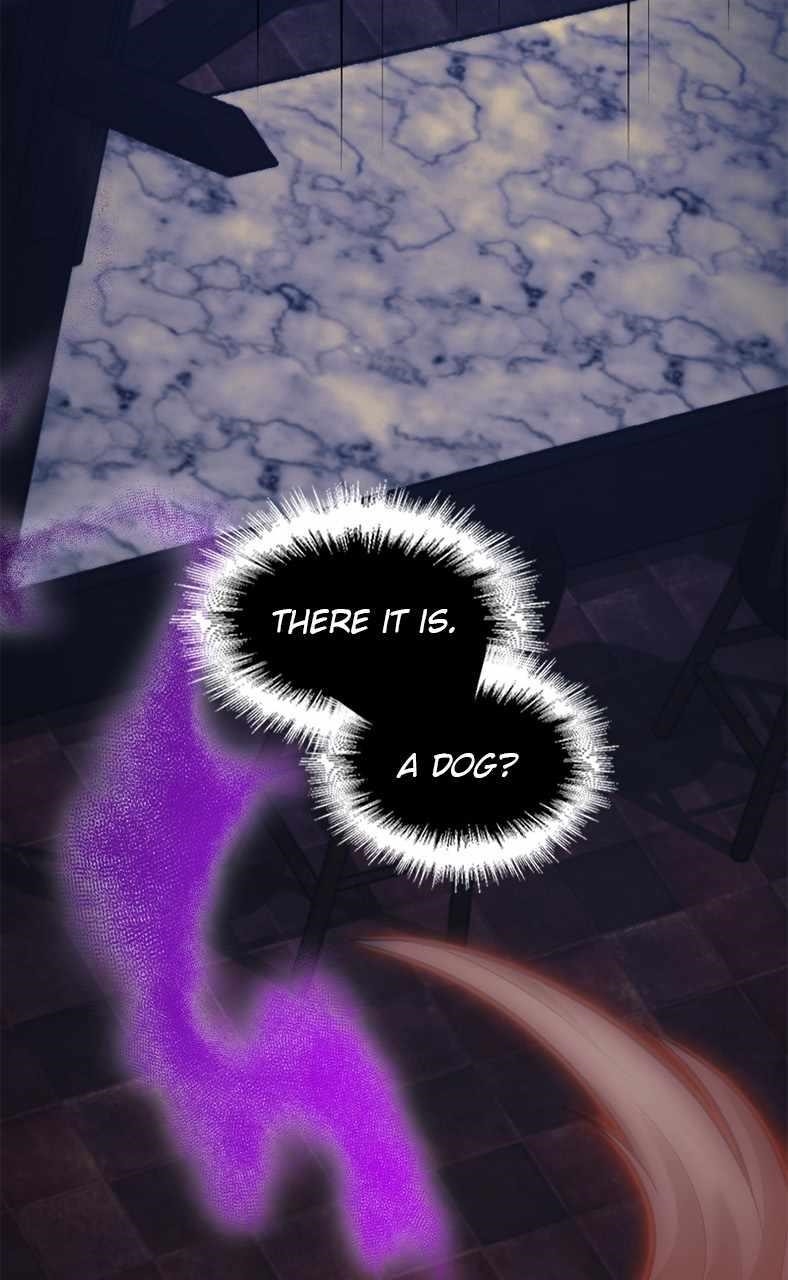 Paranoid Mage Chapter 5 - Page 36 in English