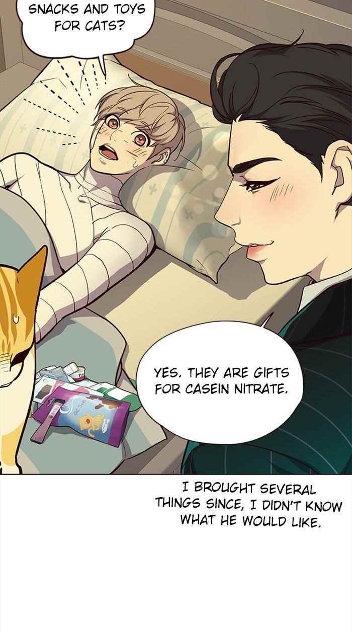 Eleceed Chapter 29 - Page 33 in English