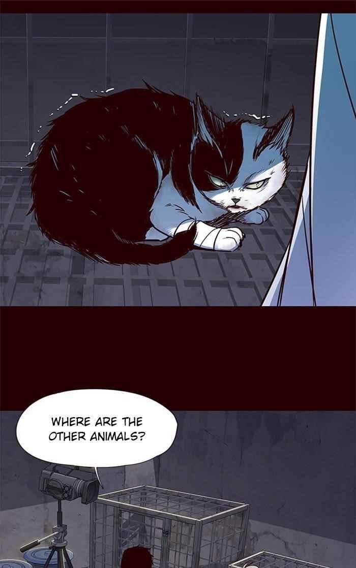 Eleceed Chapter 36 - Page 10 in English
