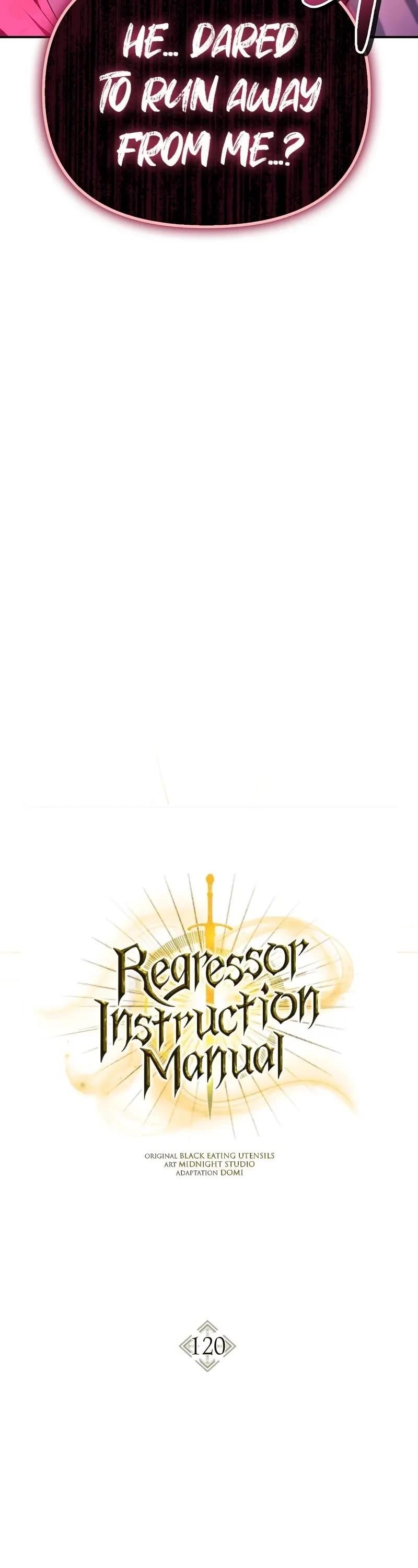 Regressor Instruction Manual Chapter 120 - Page 21 in English