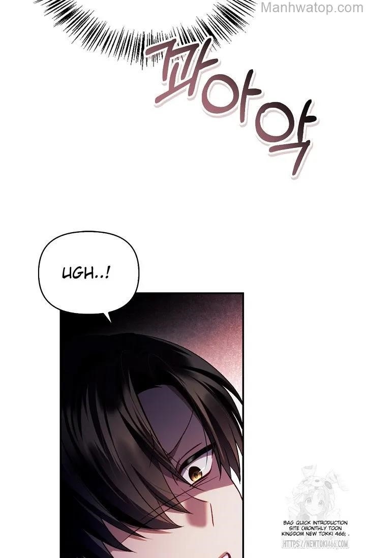 Regressor Instruction Manual Chapter 121 - Page 33 in English