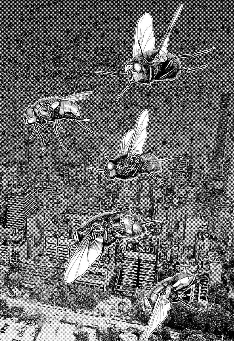 Dandadan Chapter 186 - Page 24 in English
