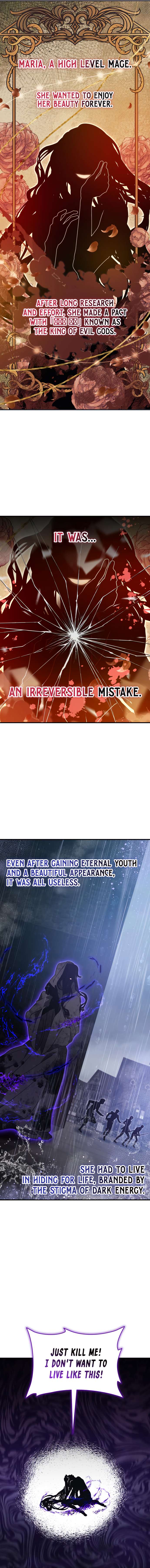 Become a Legendary Arch Mage by Reading a Book Chapter 63 - Page 9 in English