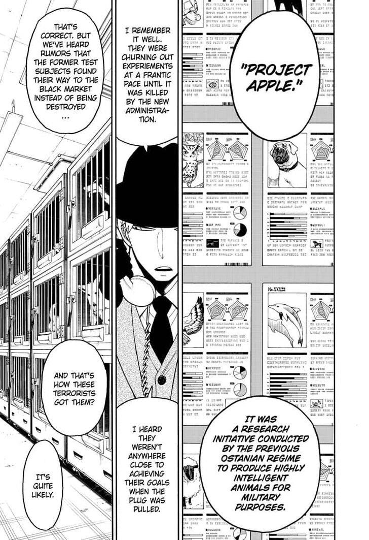 Spy X Family Chapter 19 - Page 7 in English