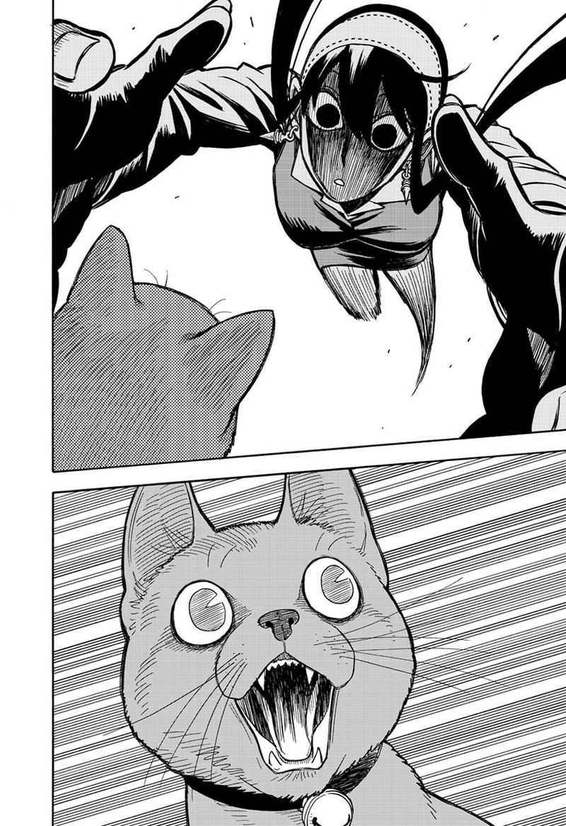 Spy X Family Chapter 43 - Page 16 in English