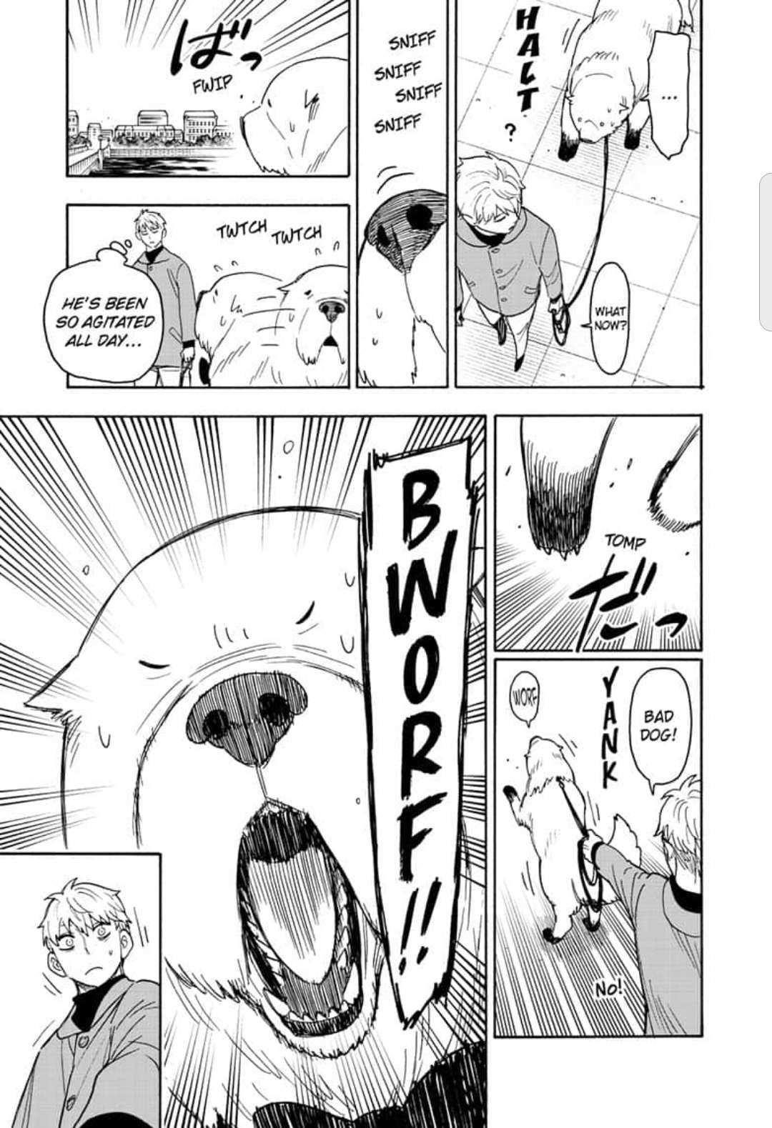 Spy X Family Chapter 58.1 - Page 13 in English