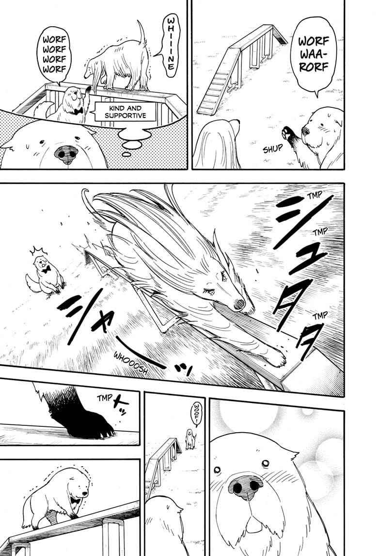 Spy X Family Chapter 62.5 - Page 7 in English