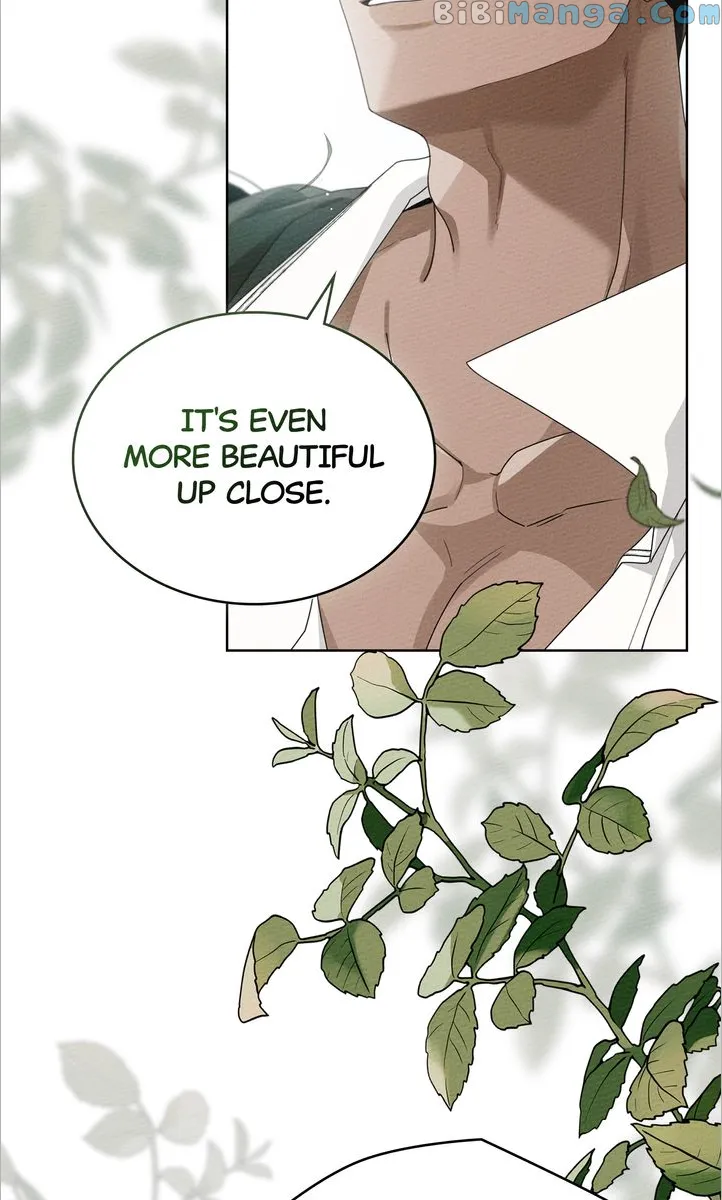 Under the Oak Tree Chapter 78 - Page 48 in English