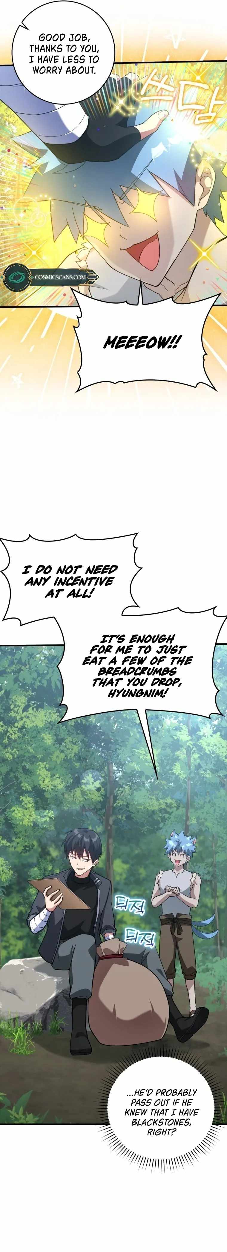 Max Level Player Chapter 29 - Page 13 in English