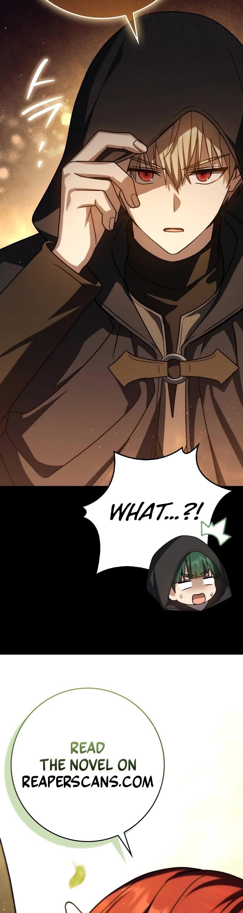 The Reincarnated Assassin is a Genius Swordsman Chapter 58 - Page 65 in English