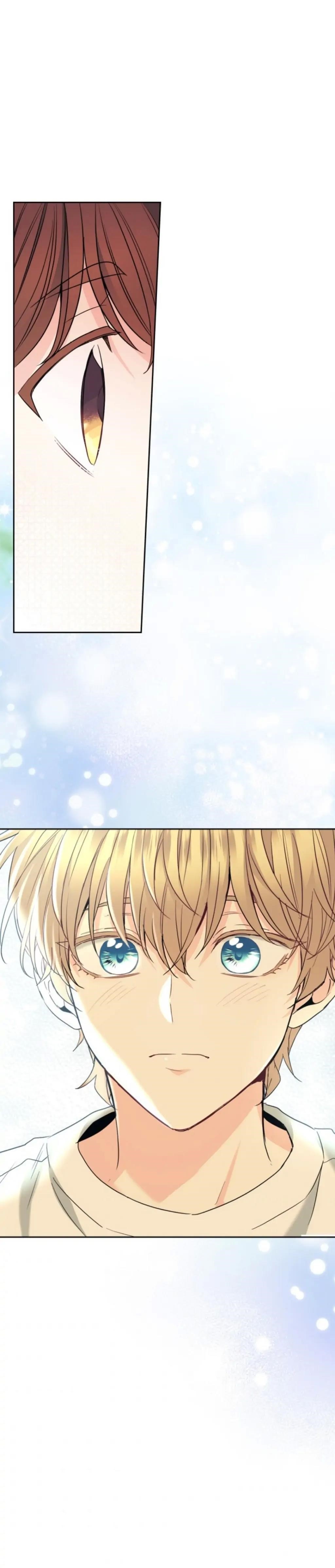 Inso’s Law Chapter 155 - Page 31 in English
