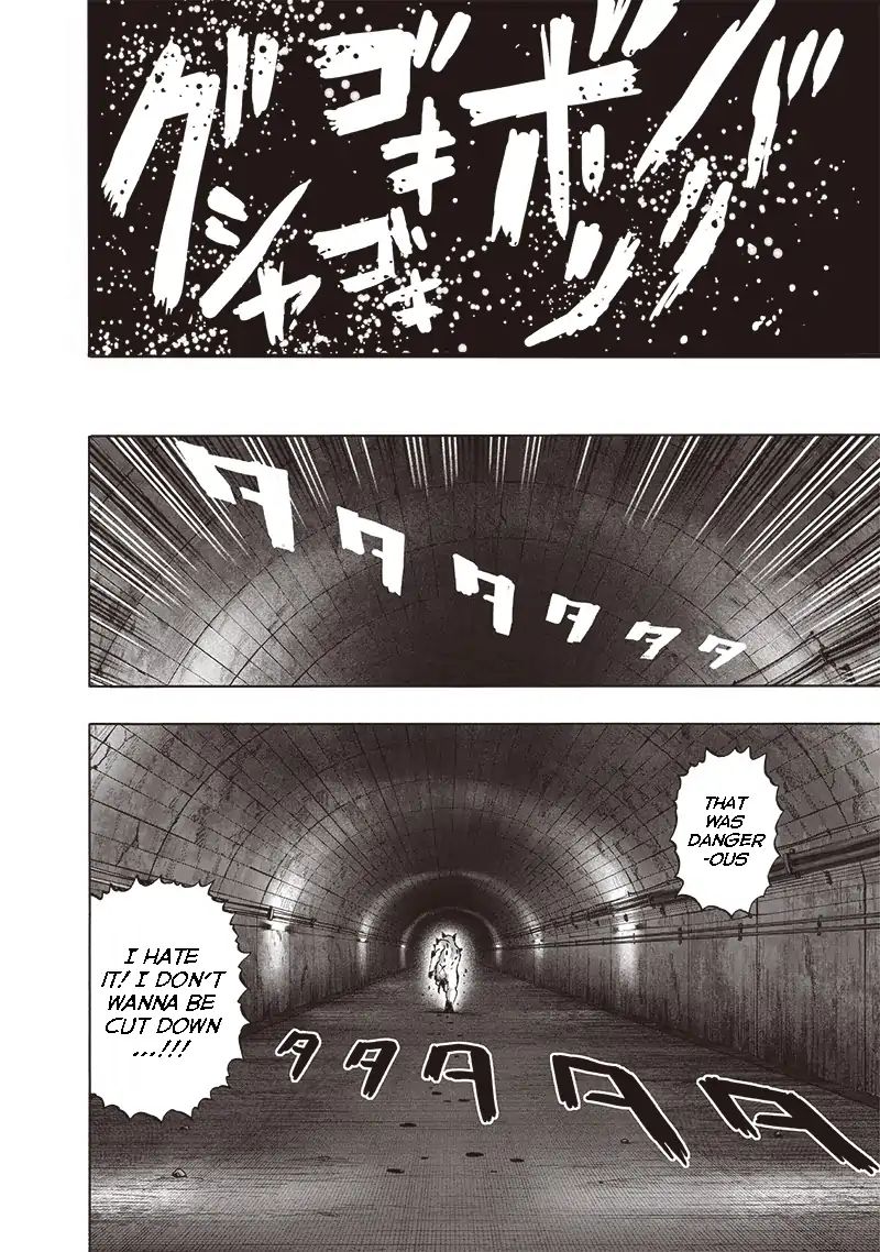 One Punch Man, onepunchman Chapter 166 - Page 10 in English