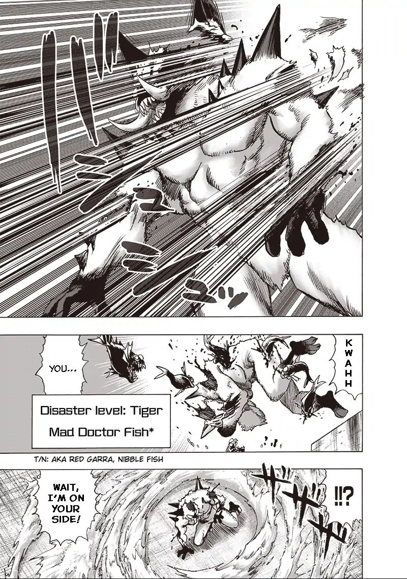 One Punch Man, onepunchman Chapter 166 - Page 15 in English