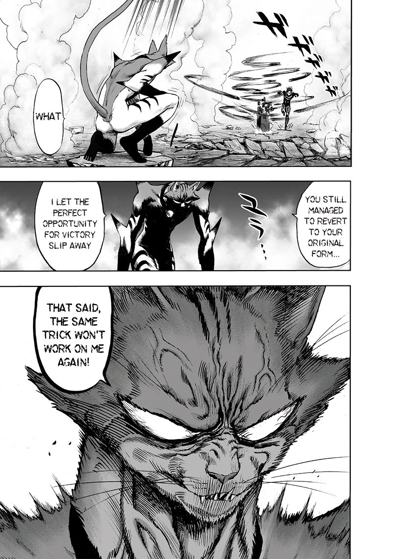 One Punch Man, onepunchman Chapter 170 - Page 14 in English