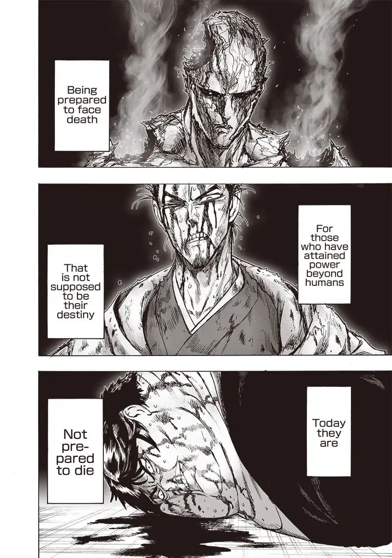 One Punch Man, onepunchman Chapter 176 - Page 11 in English