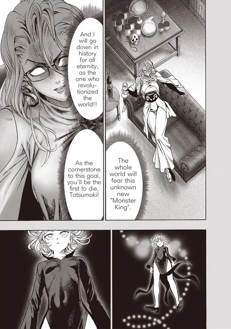 One Punch Man, onepunchman Chapter 176 - Page 18 in English