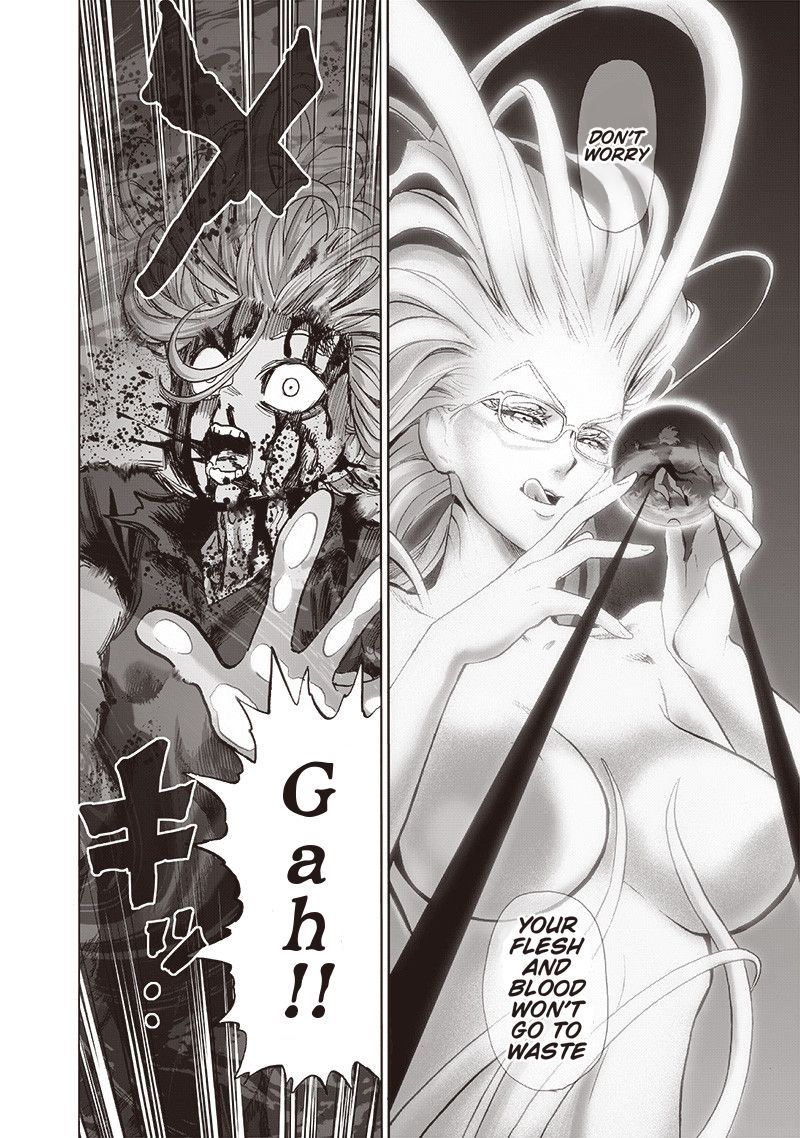 One Punch Man, onepunchman Chapter 181 - Page 17 in English