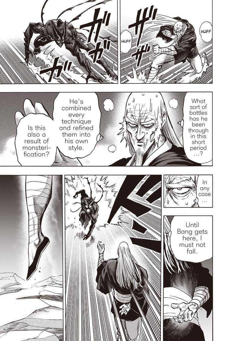 One Punch Man, onepunchman Chapter 202 - Page 29 in English