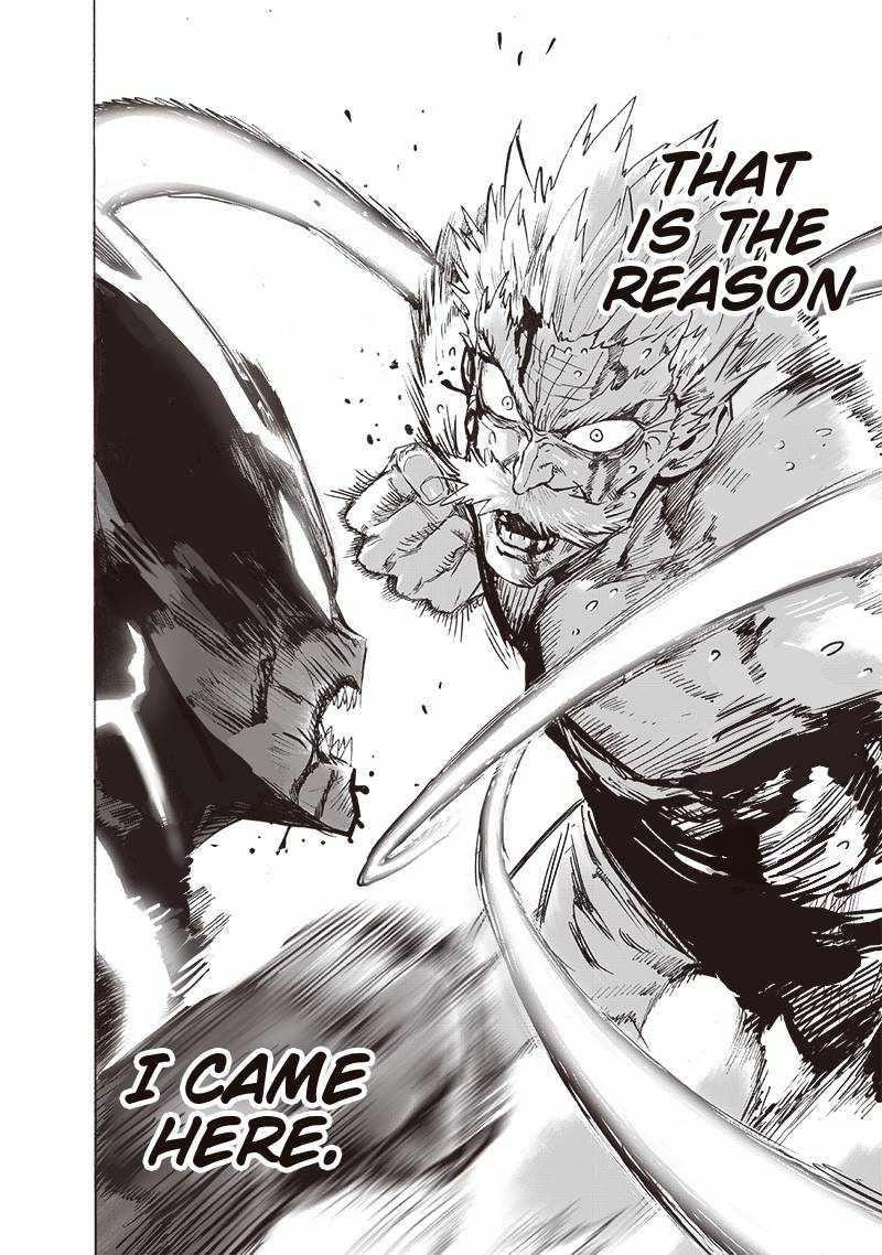 One Punch Man, onepunchman Chapter 209 - Page 17 in English