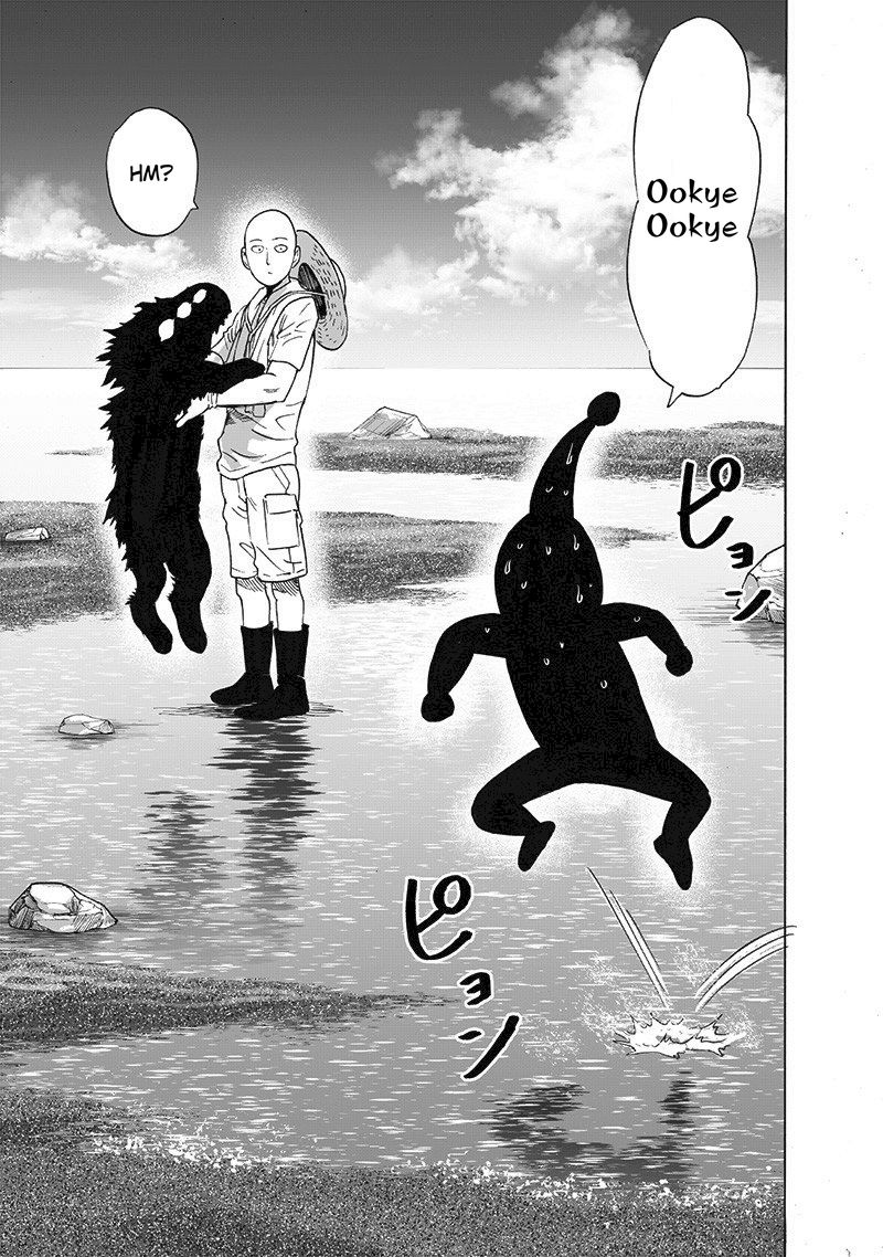 One Punch Man, onepunchman Chapter 230 - Page 29 in English