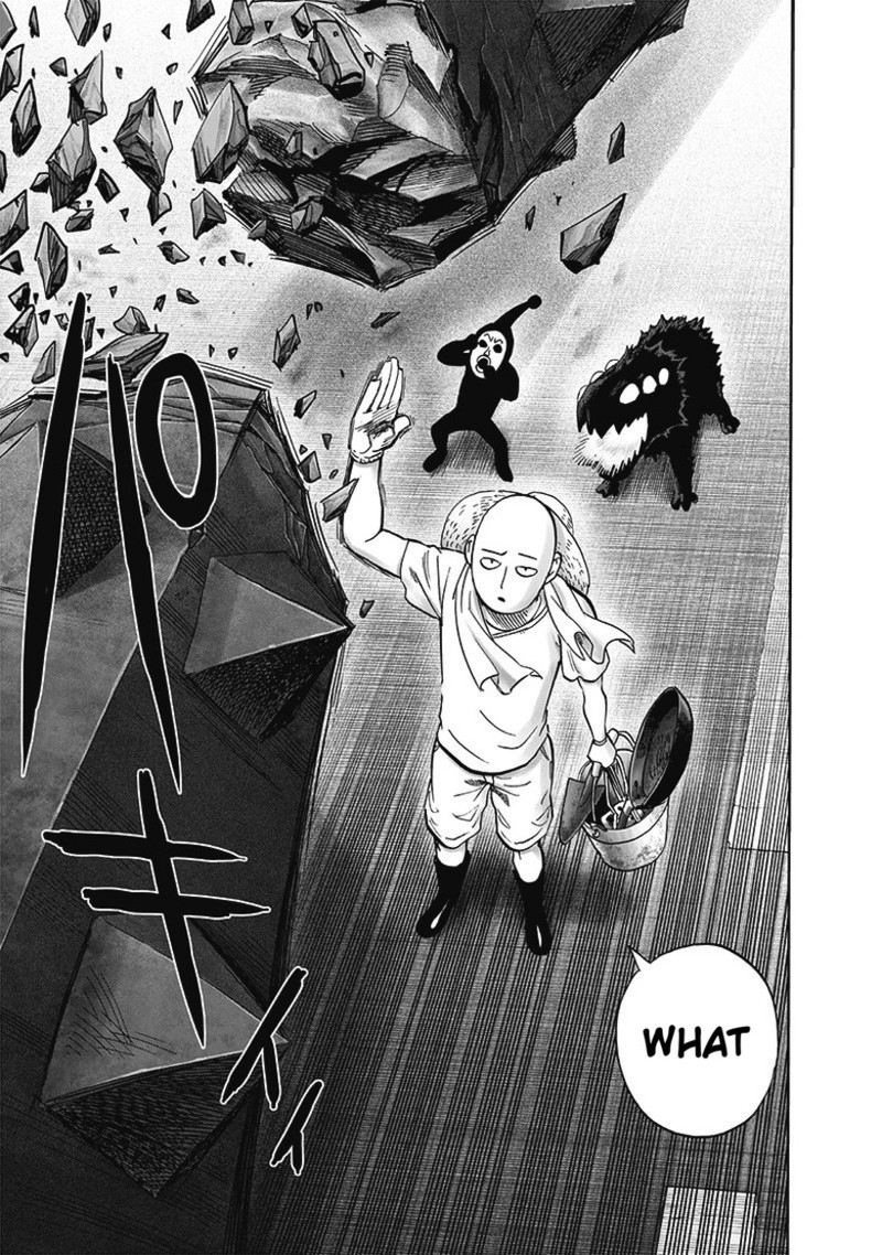 One Punch Man, onepunchman Chapter 231 - Page 19 in English
