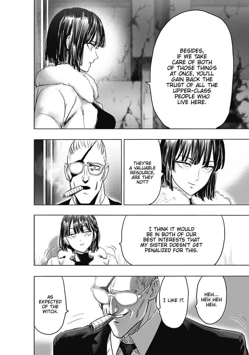 One Punch Man, onepunchman Chapter 242 - Page 14 in English
