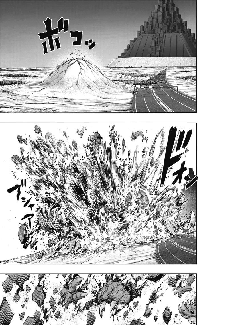 One Punch Man, onepunchman Chapter 242 - Page 15 in English