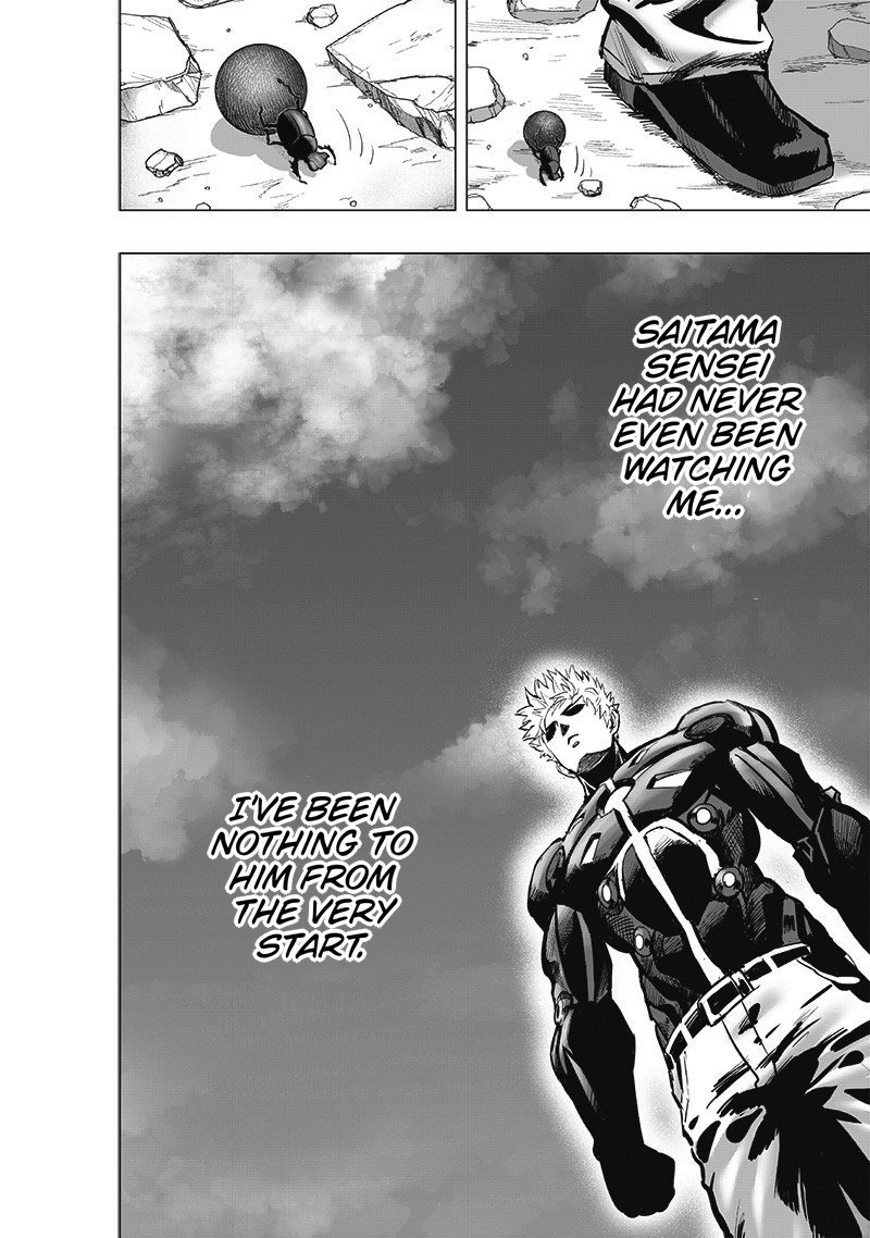 One Punch Man, onepunchman Chapter 245 - Page 19 in English