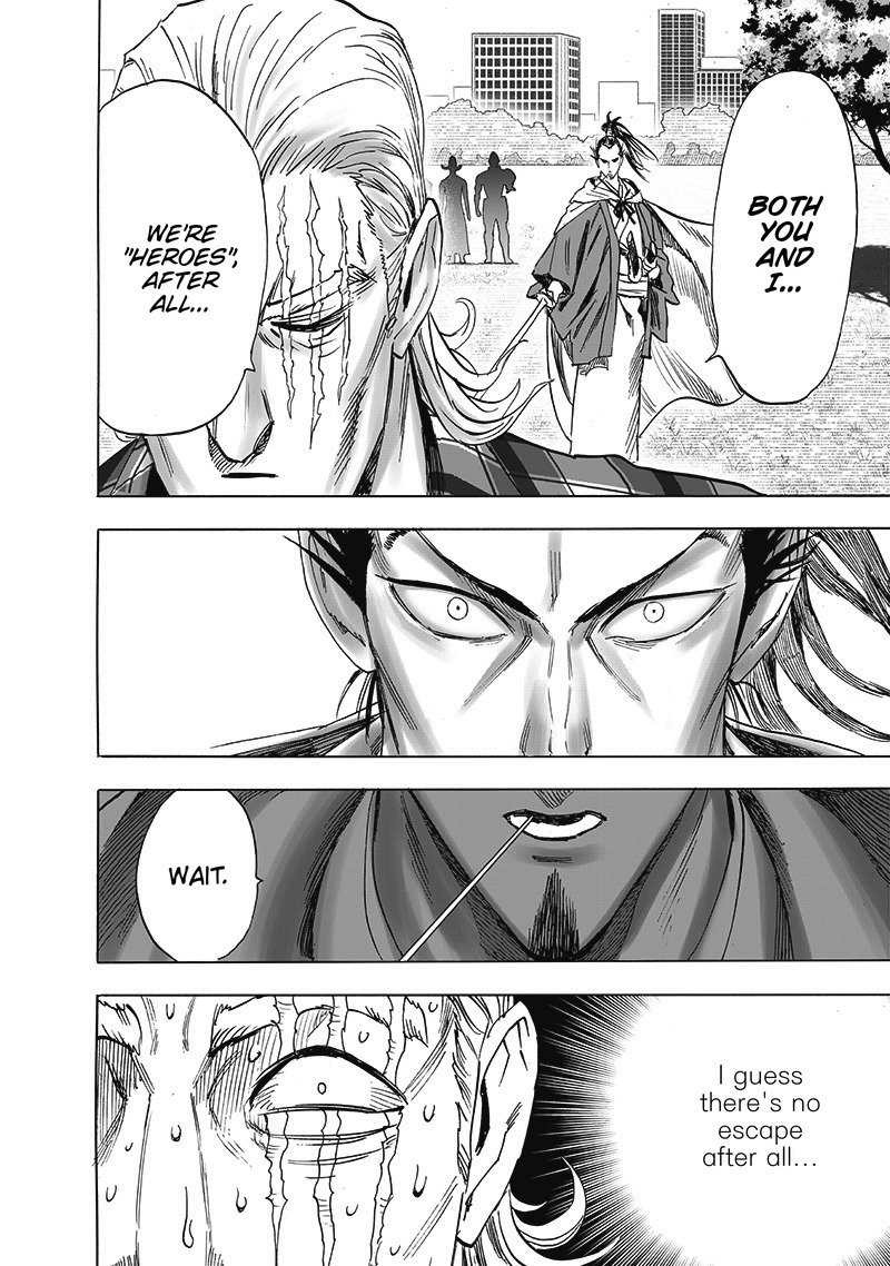 One Punch Man, onepunchman Chapter 249 - Page 16 in English