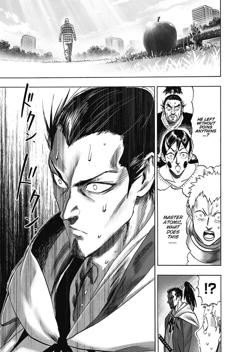 One Punch Man, onepunchman Chapter 249 - Page 25 in English
