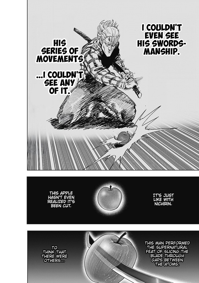 One Punch Man, onepunchman Chapter 249 - Page 26 in English