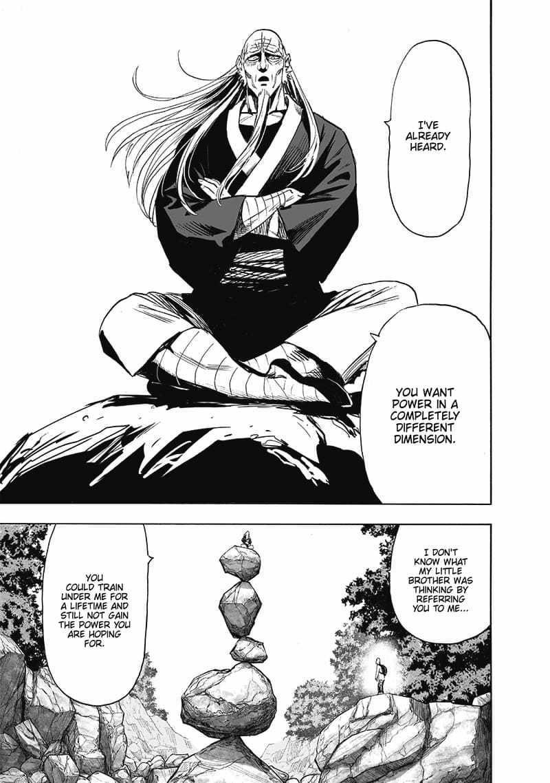 One Punch Man, onepunchman Chapter 252 - Page 11 in English