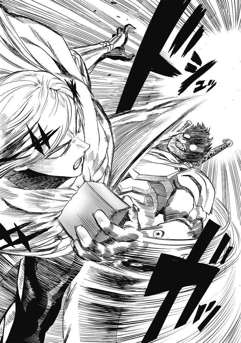 One Punch Man, onepunchman Chapter 264 - Page 14 in English