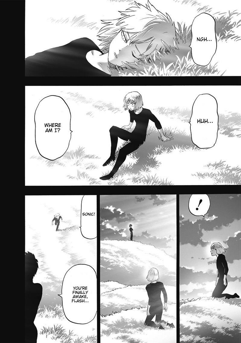 One Punch Man, onepunchman Chapter 264 - Page 18 in English