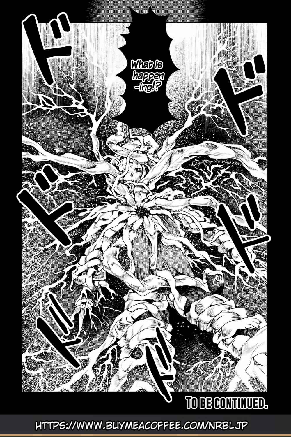 Nozomanu Fushi no Boukensha Chapter 29 - Page 25 in English