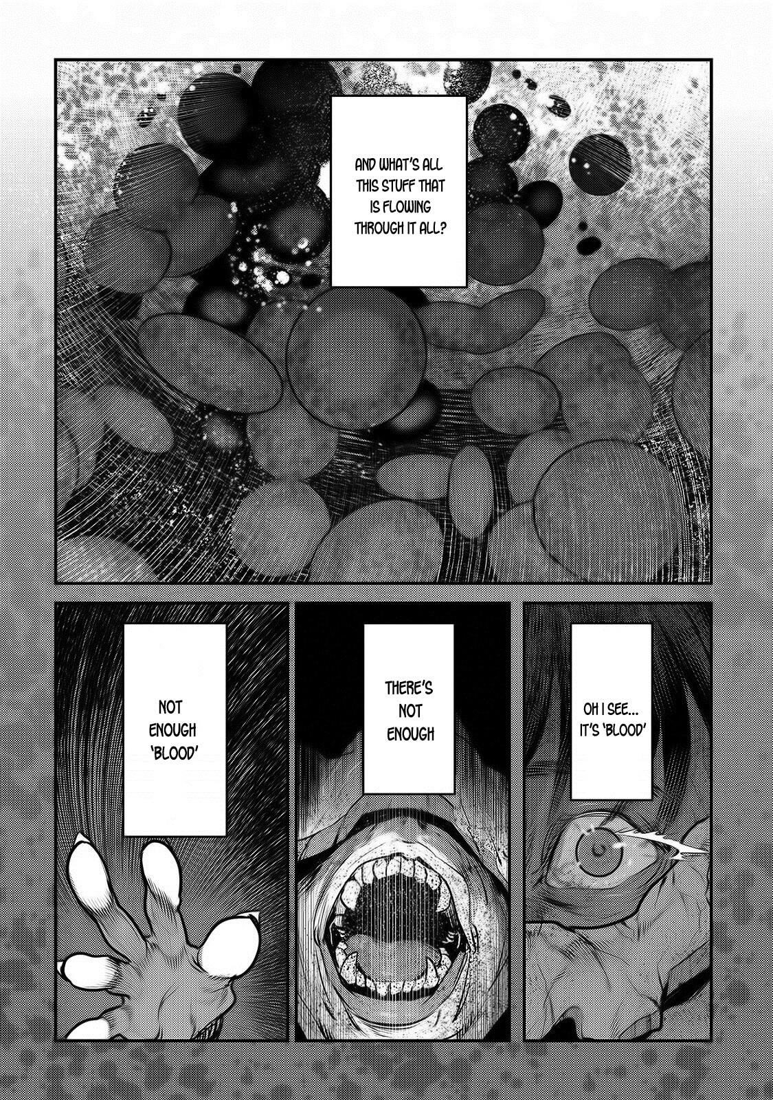 Nozomanu Fushi no Boukensha Chapter 30 - Page 13 in English
