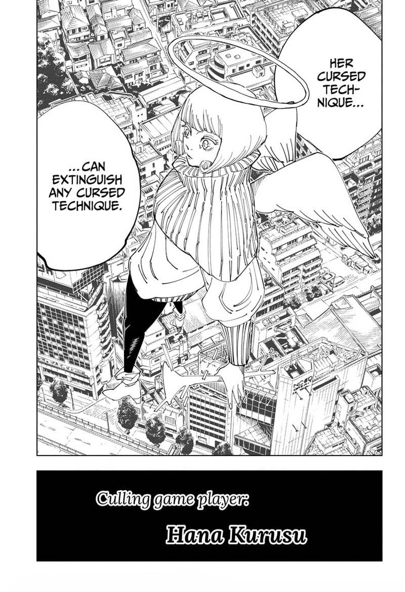 JUJUTSU KAISEN Chapter 145 - Page 19 in English